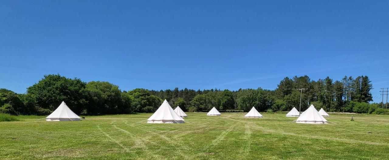 Dorset Glamping Fields Otel Corfe Mullen Dış mekan fotoğraf