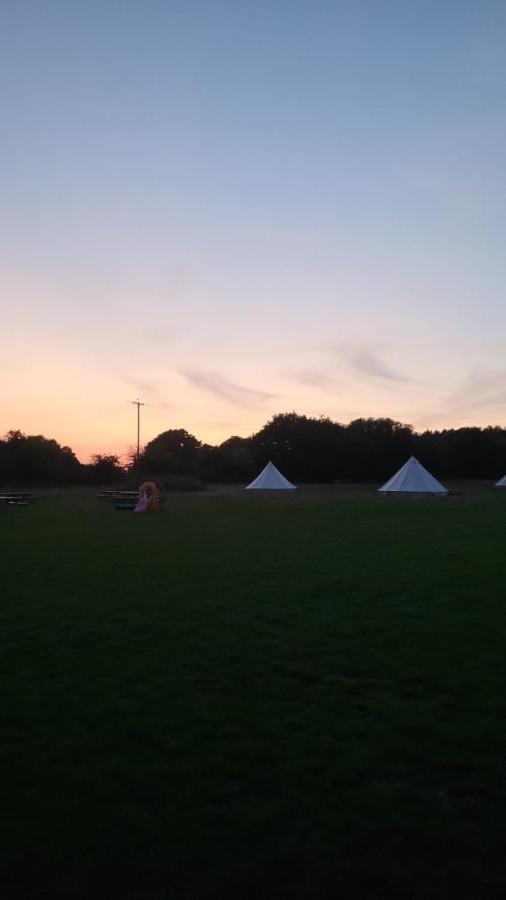Dorset Glamping Fields Otel Corfe Mullen Dış mekan fotoğraf