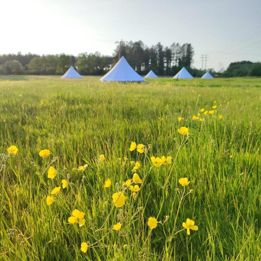 Dorset Glamping Fields Otel Corfe Mullen Dış mekan fotoğraf